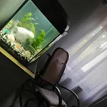 U Podnoza Gor Sowich * Peterswaldau