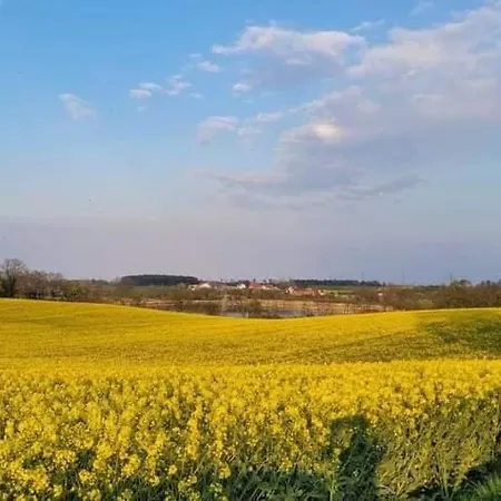 U Podnoza Gor Sowich アパート *