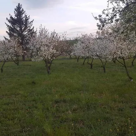 U Podnoza Gor Sowich 公寓 Pieszyce