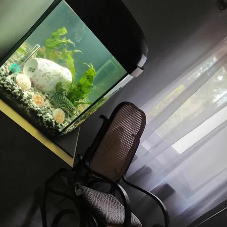 U Podnoza Gor Sowich * Pieszyce