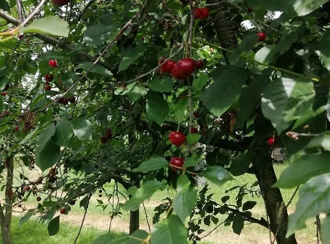 公寓 U Podnoza Gor Sowich Pieszyce