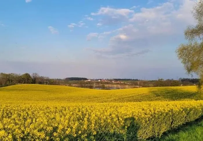 U Podnoza Gor Sowich Apartment *