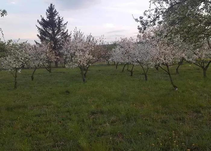 U Podnoza Gor Sowich 公寓 Pieszyce