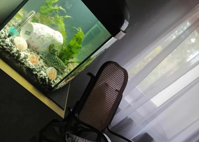 U Podnoza Gor Sowich * Peterswaldau